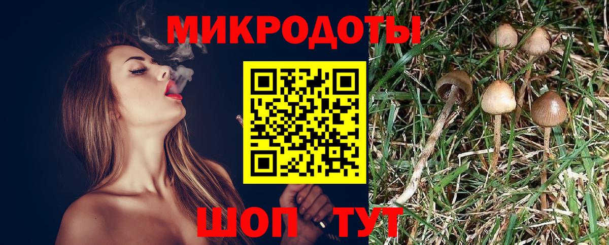 Псилоцибиновые грибы мицелий  Псилоцибиновые грибы Psilocybine cubensis  Сердобск  Вход с VPN 